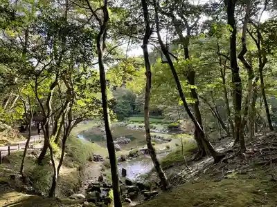常栄寺の庭園