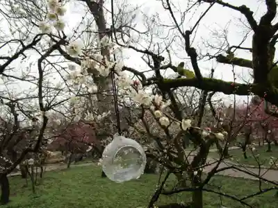 北野天満宮(京都府)