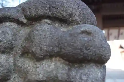 須賀神社の狛犬