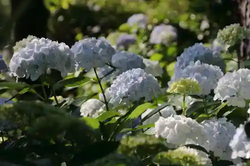 開成山大神宮の庭園