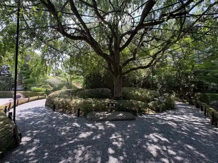 退蔵院(京都府)