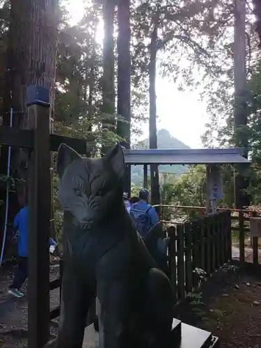 武蔵御嶽神社の狛犬