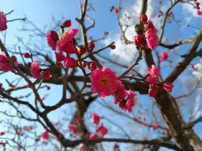  智積院(京都府)