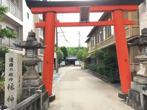 漢國神社の鳥居