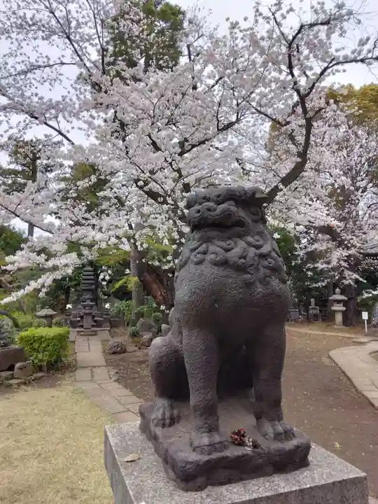 観音寺(世田谷山観音寺)(東京都)