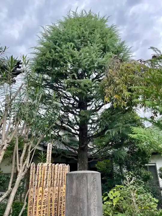 感應寺(東京都)