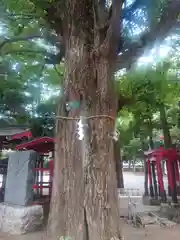 花園神社(東京都)