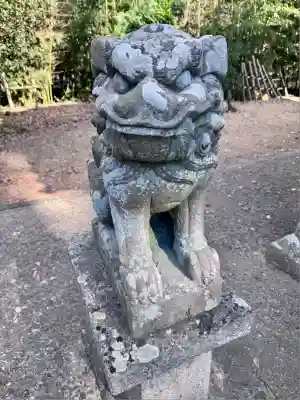 蛭子島神社(京都府)