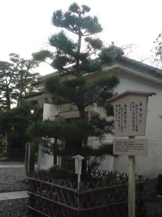 成田山新勝寺の自然