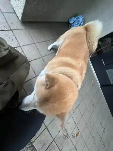 笠䅣稲荷神社(神奈川県)