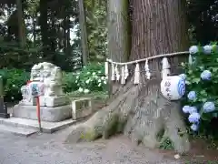 磯山神社の歴史