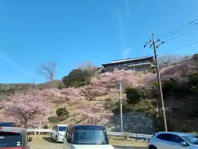 楽法寺(雨引観音)の周辺