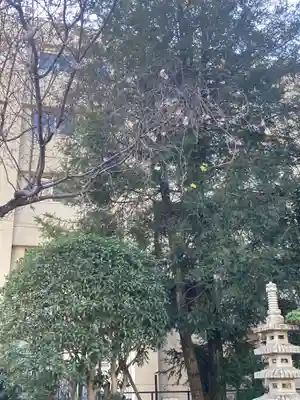 成願寺(神奈川県)