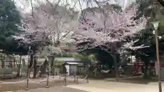 新井天神北野神社(東京都)