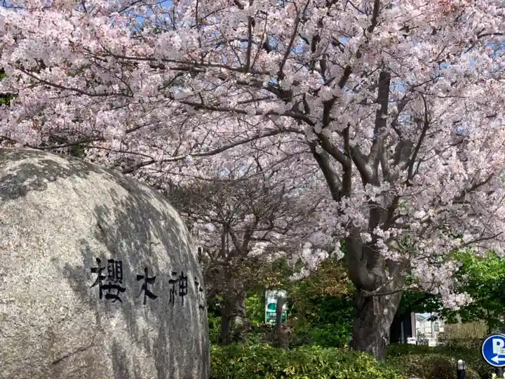 櫻木神社の自然