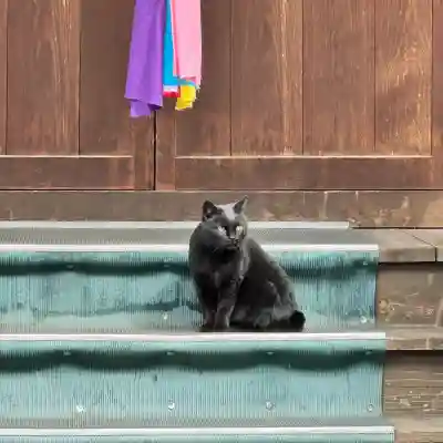 鴎稲荷神社の{uncategorized: "未分類", other: "その他", undefined: "問題あり", building: "その他建物", grave: "お墓", sacred_gate: "鳥居", guardian: "狛犬", statue: "像", buddha: "仏像", history: "歴史", nature: "自然", garden: "庭園", animal: "動物", pagoda: "塔", temizu: "手水舎", mountain_gate: "山門・神門", sanctuary: "本殿・本堂", subordinate: "末社・摂社", art: "芸術", scenery: "景色", jizo: "地蔵", ema: "絵馬", goshuin: "御朱印", omikuji: "おみくじ", items: "授与品その他", amulet: "お守り", goshuincho: "御朱印帳", eats: "食事", festival: "お祭り", votive_dance: "神楽", shichigosan: "七五三参", wedding: "結婚式", experience: "体験その他", initially: "初詣", around: "周辺", anti_infection: "感染症対策"}