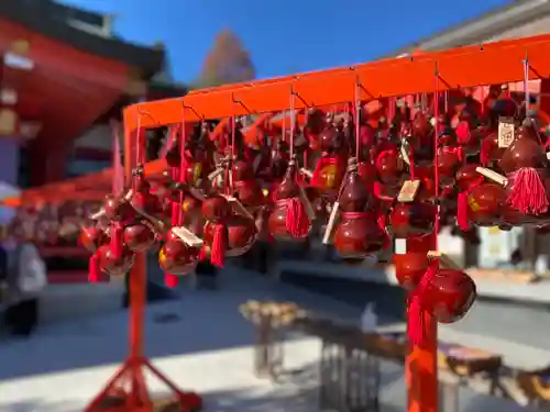 宮城縣護國神社のおみくじ