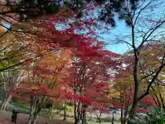 土津神社｜こどもと出世の神さま(福島県)