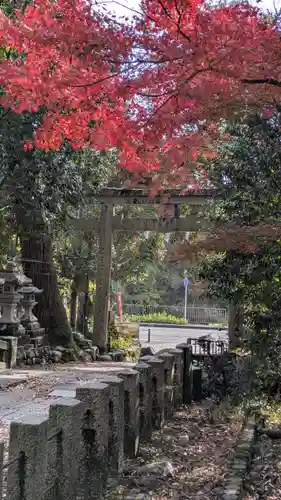 崇道神社(京都府)