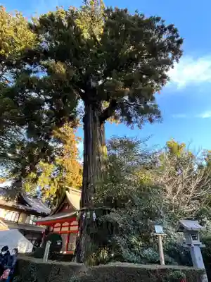 香取神宮(千葉県)