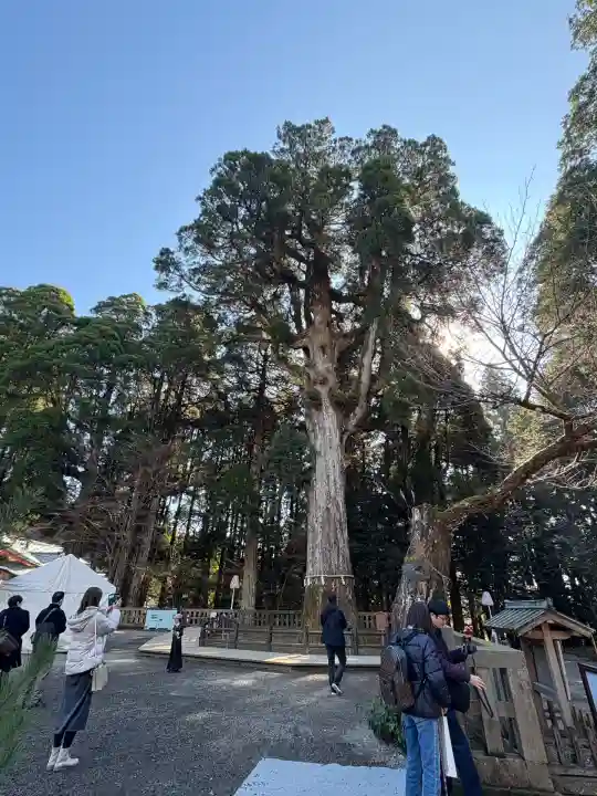 霧島神宮(鹿児島県)