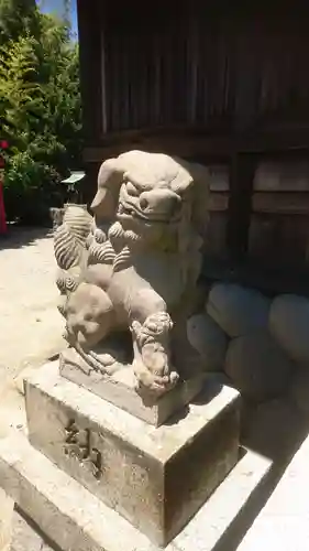 中島神社の狛犬