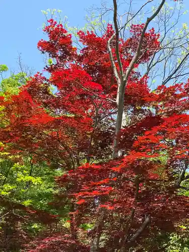 善光寺(長野県)