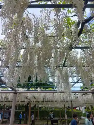 曼陀羅寺(愛知県)