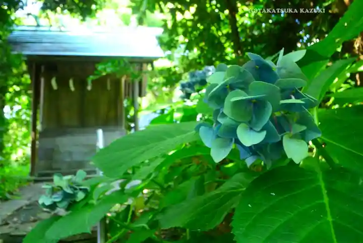 海南神社(神奈川県)