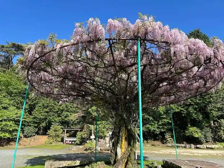 木舟山 順教寺(広島県)