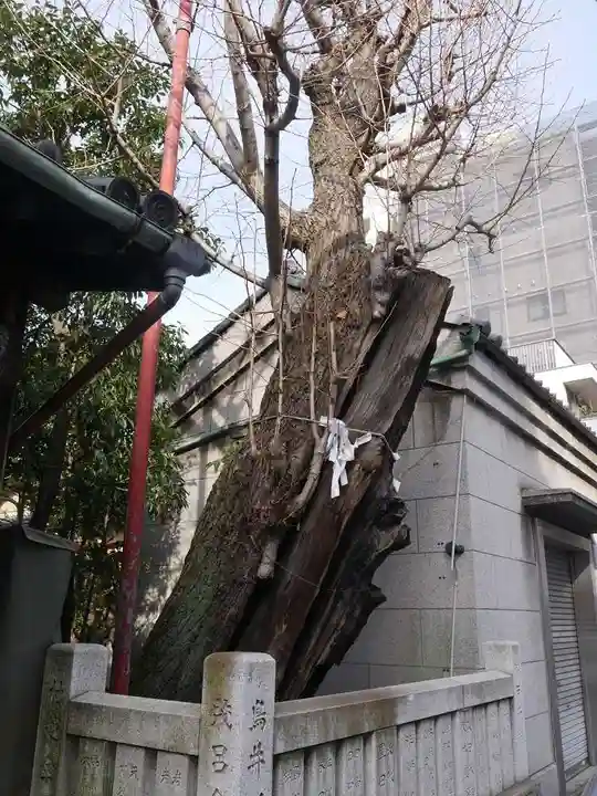 江島杉山神社のその他建物