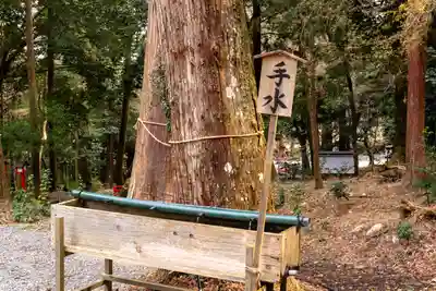 日吉大社(滋賀県)