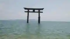 白鬚神社の鳥居