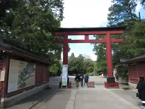 武蔵一宮氷川神社の鳥居