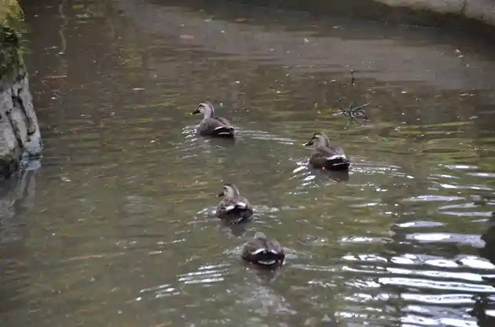 唐招提寺(奈良県)
