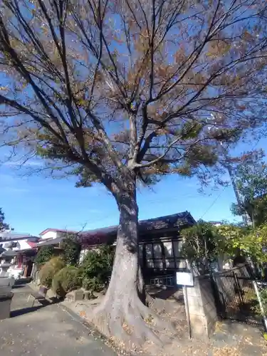 千方神社(埼玉県)