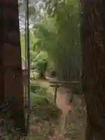 天崎神社の鳥居