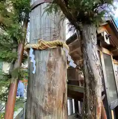 地主神社の自然