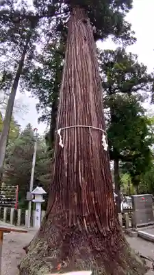 田村神社(滋賀県)
