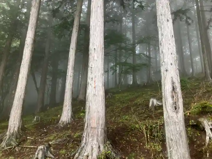 三峯神社(埼玉県)