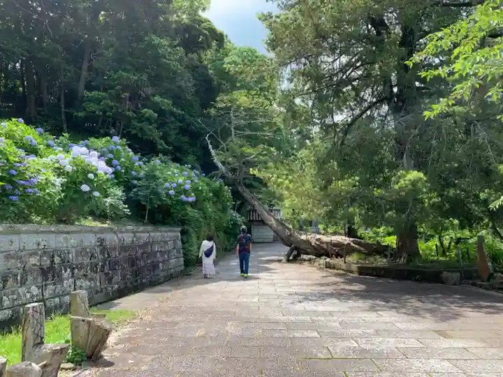 日運寺のその他建物
