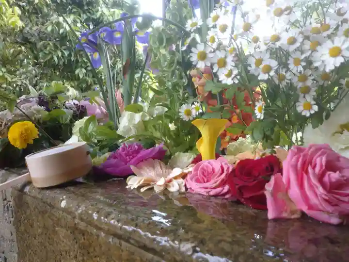 勝林寺の手水舎