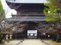 大樹寺(松安院大樹寺)の山門・神門
