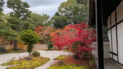 廬山寺（廬山天台講寺）(京都府)