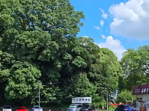 三芳野神社(埼玉県)