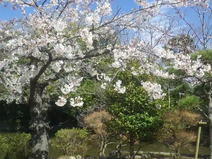 鶴岡八幡宮の自然