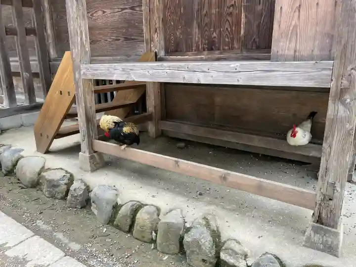 大崎八幡宮(宮城県)