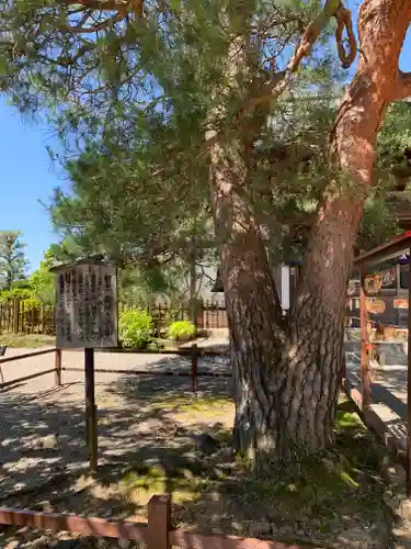 座光如来寺（元善光寺）(長野県)