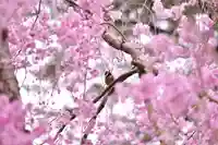 伊勢の国 四天王寺(三重県)