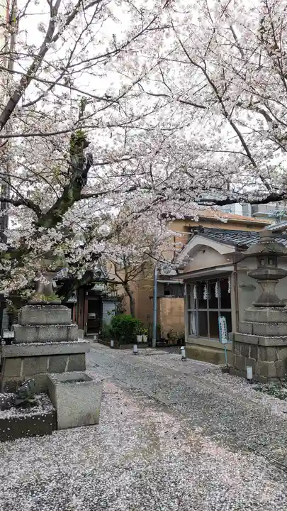 墨染寺(桜寺)(京都府)